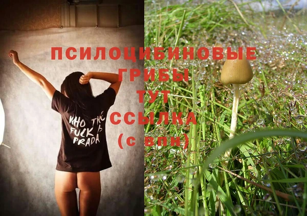 гидропоника Абинск