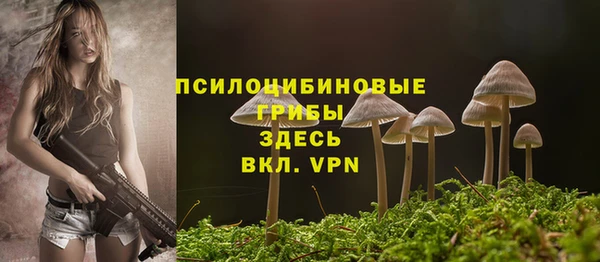 бошки Абдулино