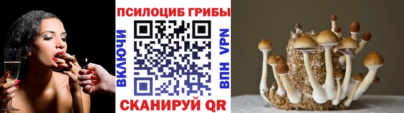 как найти закладки  Лабытнанги  маркетплейс как зайти  Псилоцибиновые грибы Magic Shrooms 