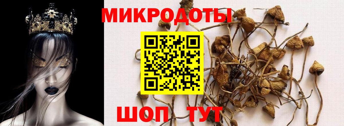 Галлюциногенные грибы Psilocybine cubensis  Вход с VPN  Лабытнанги  Галлюциногенные грибы MAGIC MUSHROOMS 