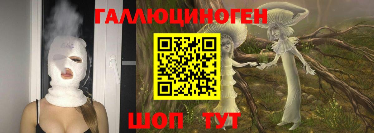 Псилоцибиновые грибы Cubensis Лабытнанги